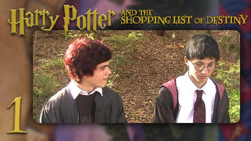 Harry Potter and the Shopping List of Destiny